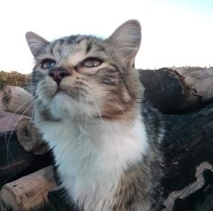 Meet your Posher, Hana